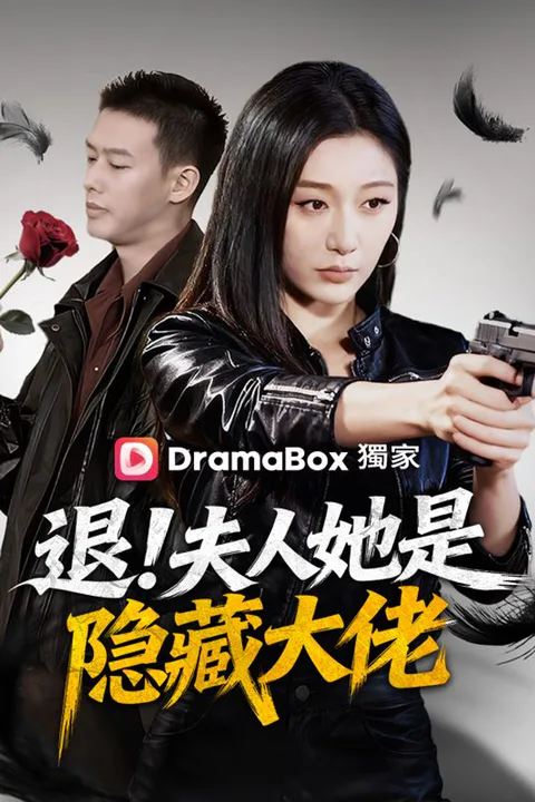 《退！夫人她是隱藏大佬》海報