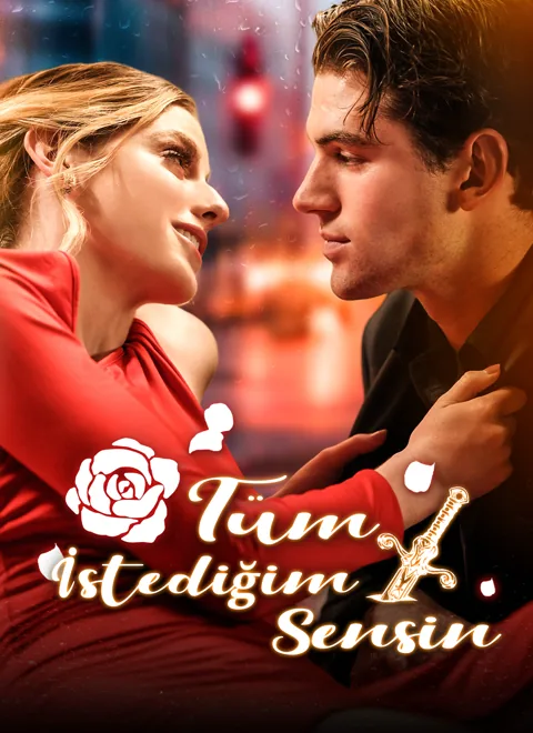 Tüm İstediğim Sensin afişi