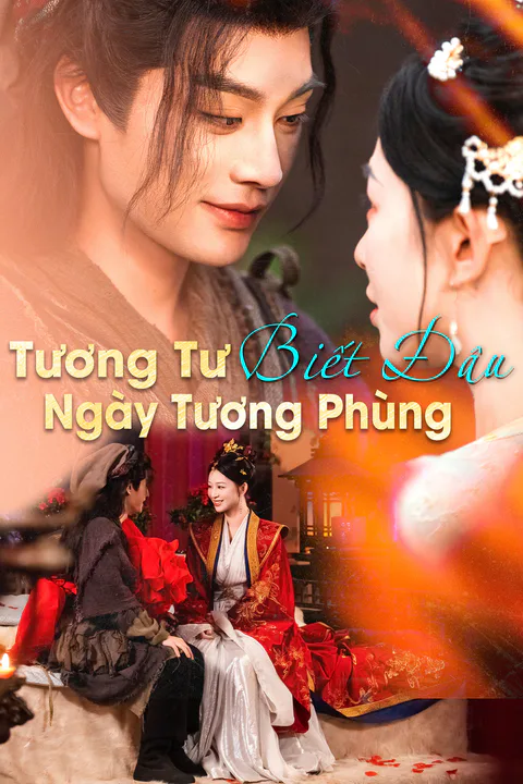 Poster Tương Tư Biết Đâu Ngày Tương Phùng