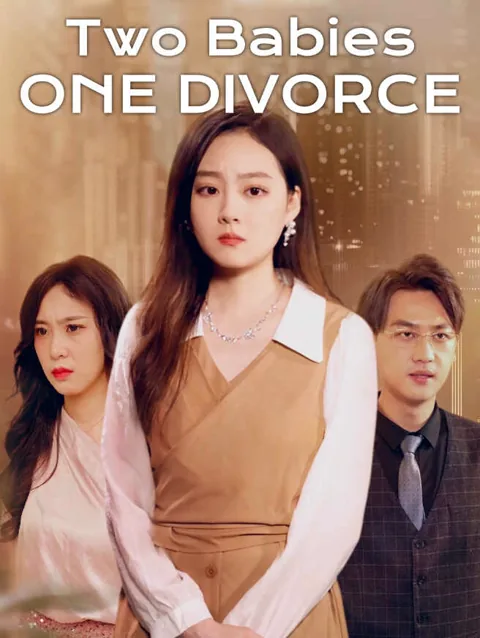 Two Babies, One Divorce poster