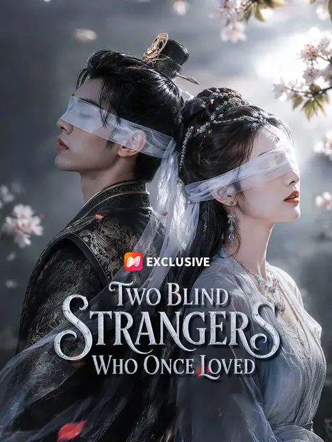 Two Blind Strangers Who Once Loved poster