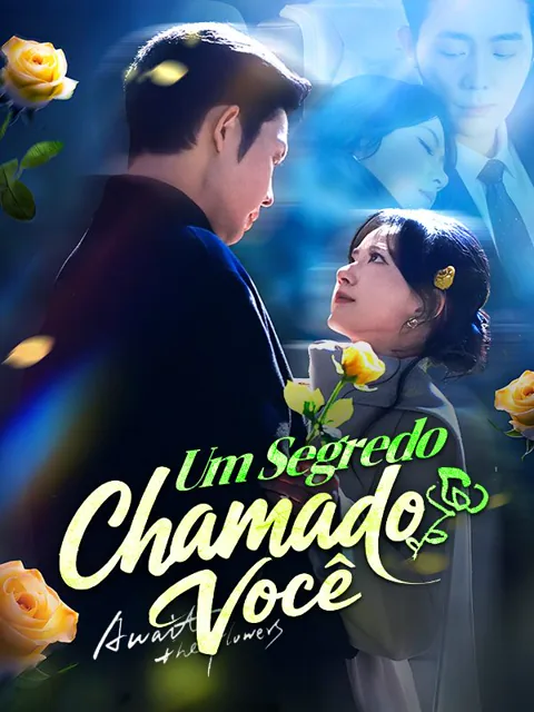 Pôster de Um Segredo Chamado Você(Dublado)