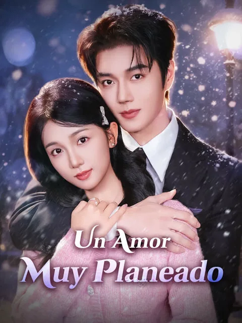 Póster de Un Amor Muy Planeado