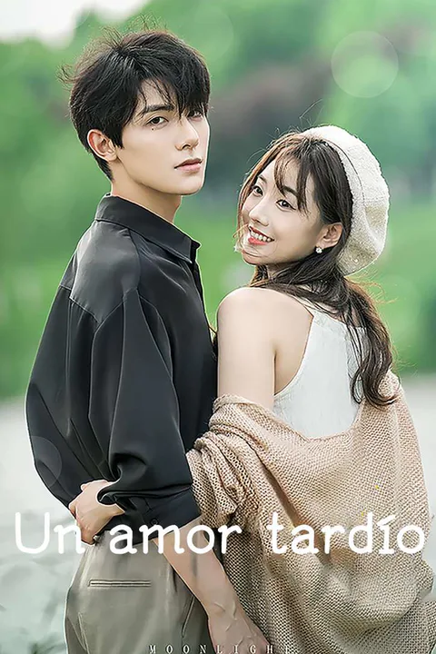 Póster de Un amor tardío