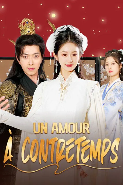 Affiche d’Un Amour à Contretemps