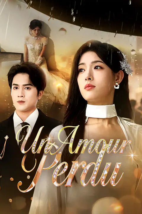 Affiche d’Un Amour Perdu