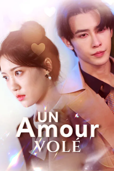 Affiche d’Un Amour volé