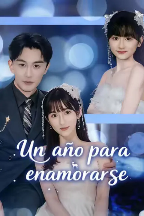 Póster de (Doblado) Un año para enamorarse