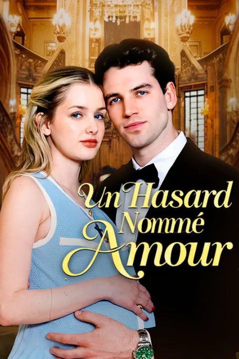 Affiche d’Un Hasard Nommé Amour