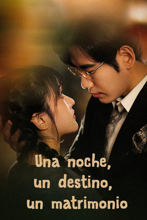 Póster de Una noche, un destino, un matrimonio