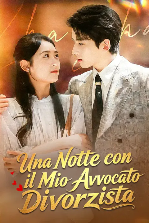 Locandina di Una Notte con il Mio Avvocato Divorzista