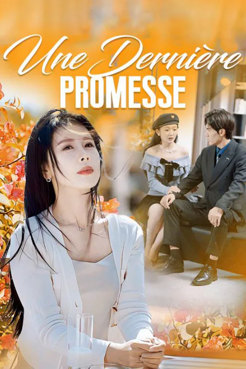 Affiche d’Une Dernière Promesse