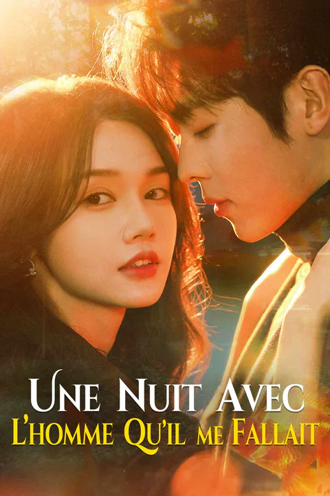 Affiche d’Une nuit avec l’homme qu’il me fallait