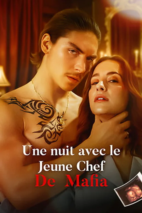 Affiche d’Une nuit avec le Jeune Chef de Mafia (Doublé)