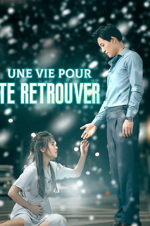Affiche d’Une Vie Pour Te Retrouver
