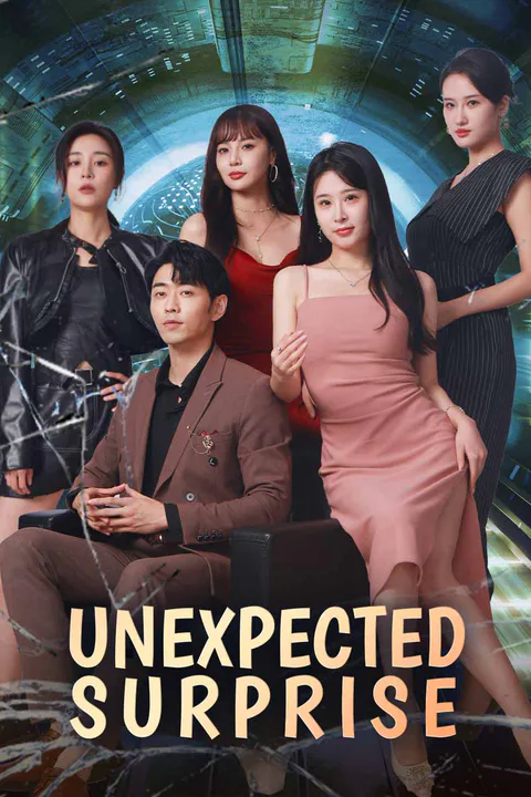 Unexpected Surprise poster