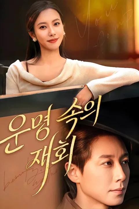 운명 속의 재회 포스터