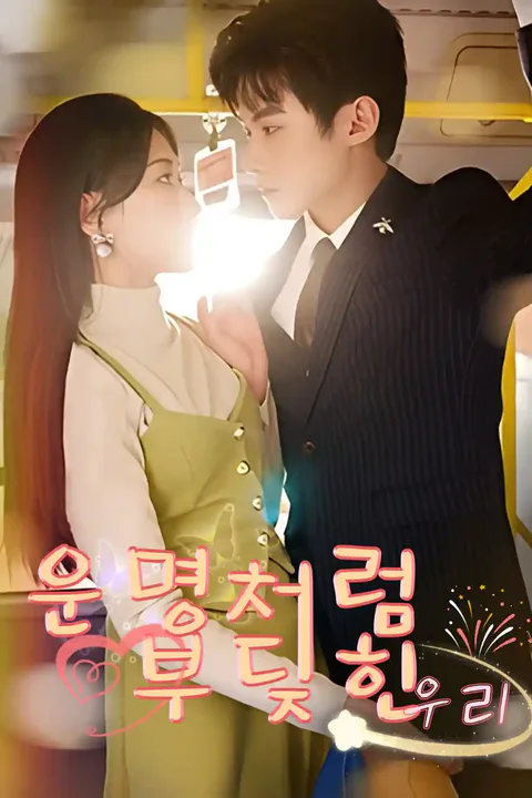운명처럼 부딪힌 우리 포스터