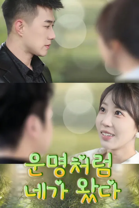 운명처럼 네가 왔다 포스터