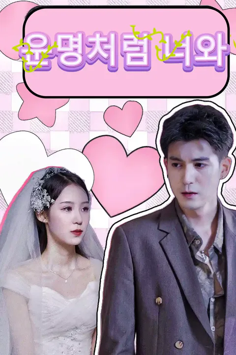 운명처럼 너와 포스터