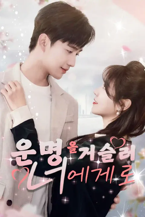 운명을 거슬러 너에게로 포스터