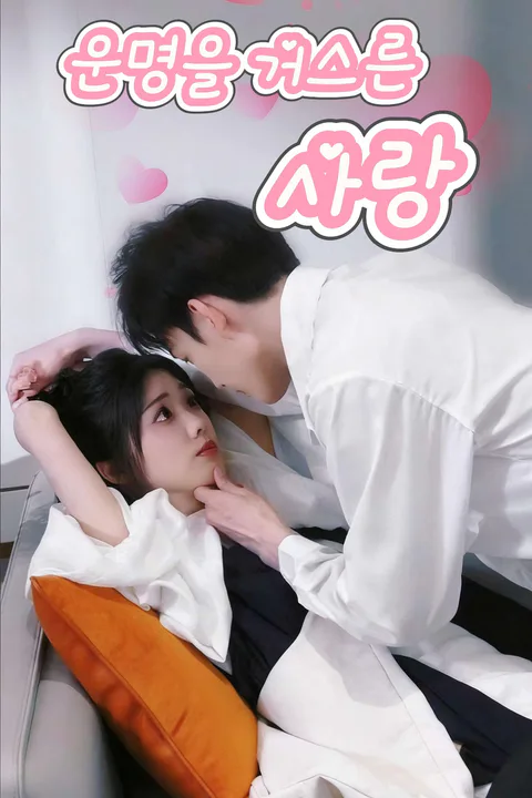 운명을 거스른 사랑 포스터