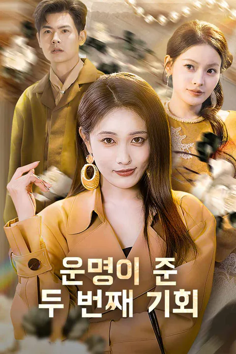 운명이 준 두 번째 기회 포스터