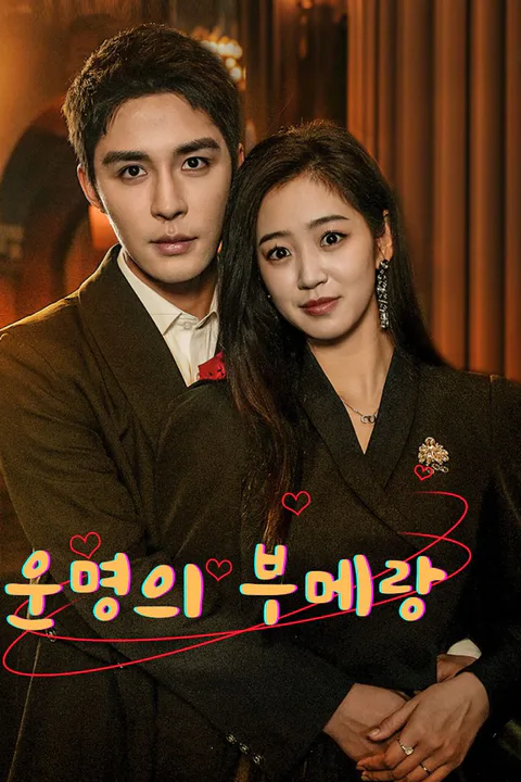 운명의 부메랑 포스터
