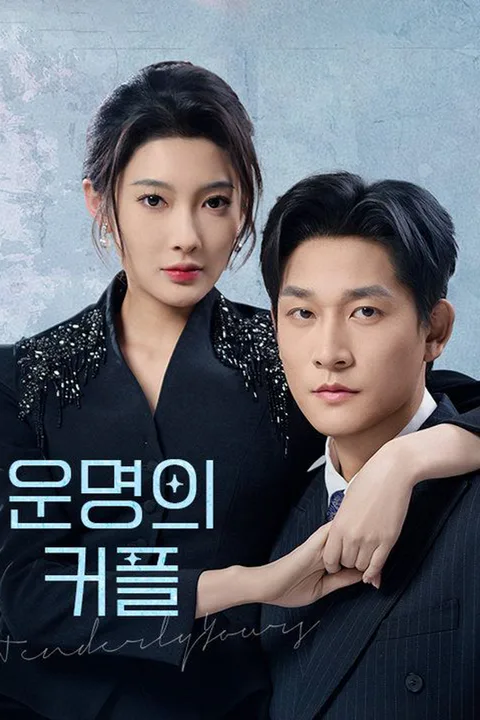 운명의 커플 포스터