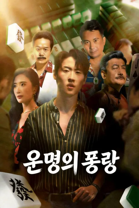 운명의 풍랑 포스터