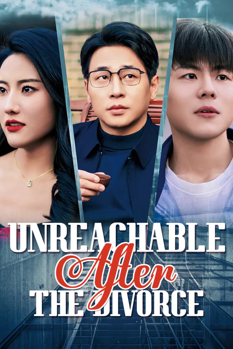 Unreachable After the Divorce poster