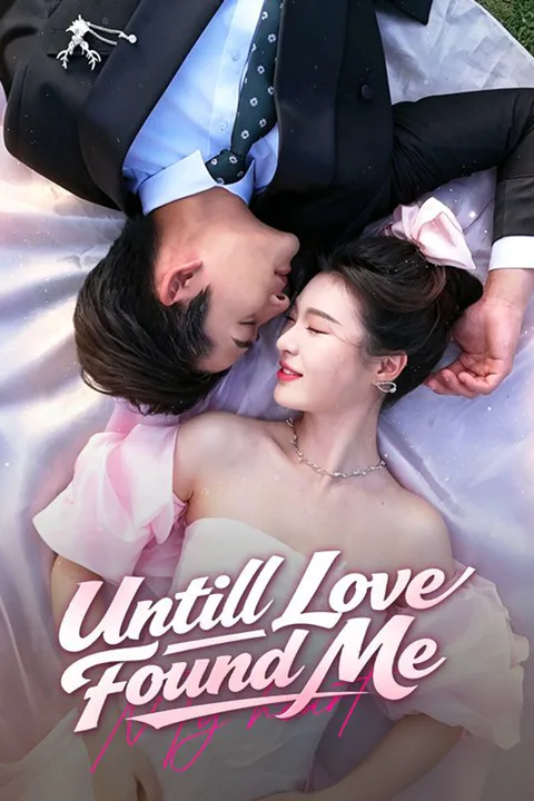 Until Love Found Me poster