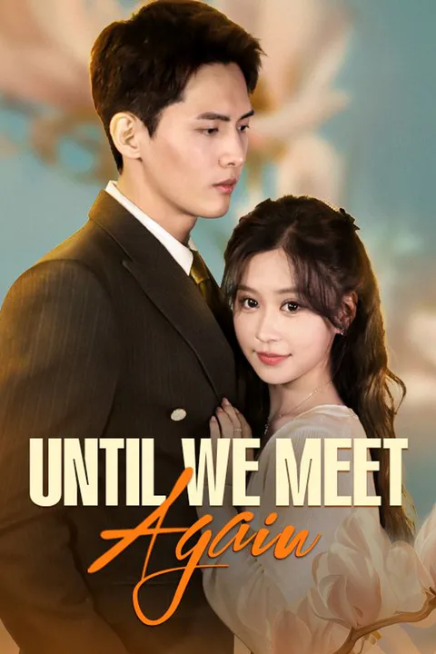 Until We Meet Again poster