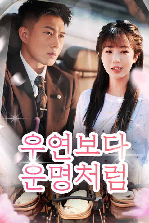 우연보다 운명처럼 포스터