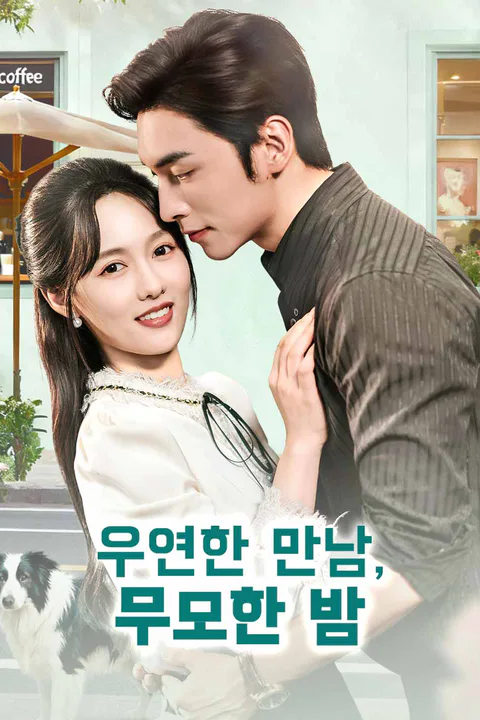 우연한 만남, 무모한 밤 포스터