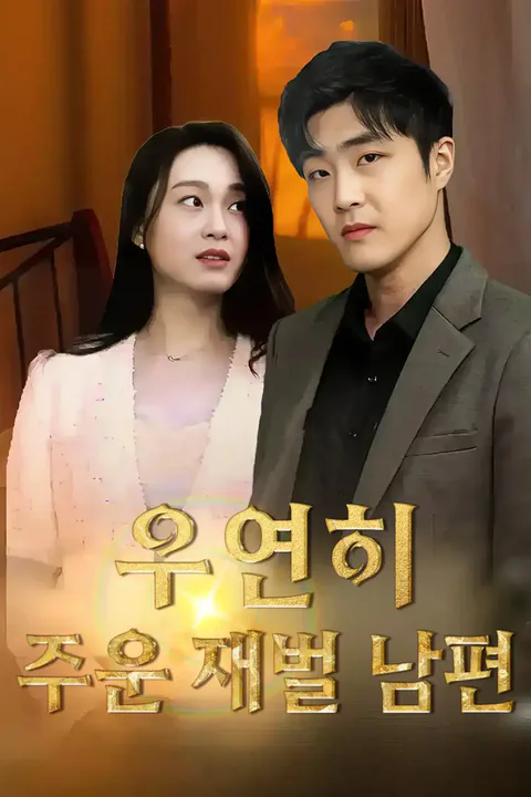 우연히 주운 재벌 남편 포스터