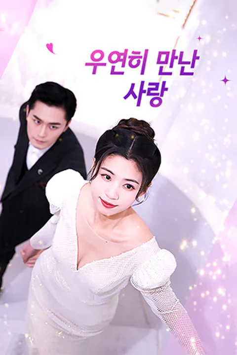 우연히 만난 사랑 포스터