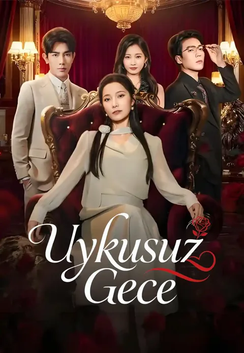 Uykusuz Gece afişi