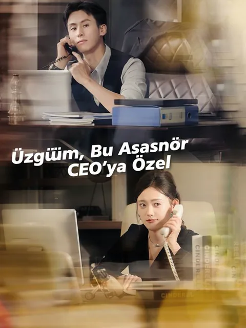 Üzgünüm, Bu Asansör CEO'ya Özel afişi