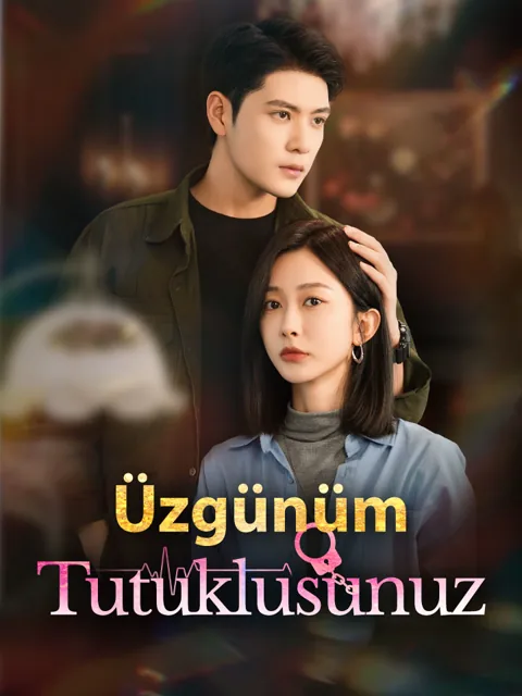 Üzgünüm, Tutuklusunuz afişi