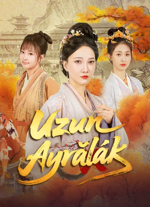 Uzun Ayrılık afişi