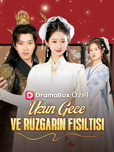Uzun Gece ve Rüzgarın Fısıltısı afişi