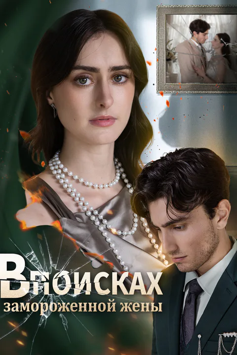 Постер «В поисках замороженной жены»
