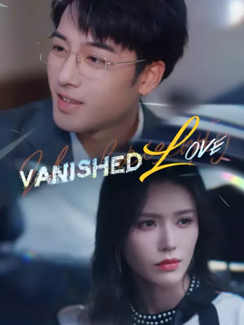 Vanished Love poster