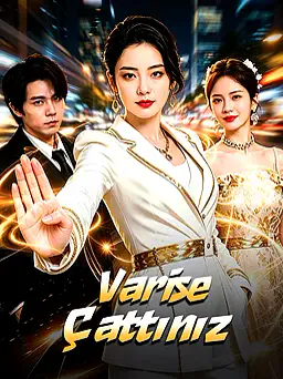 Varise Çattınız afişi