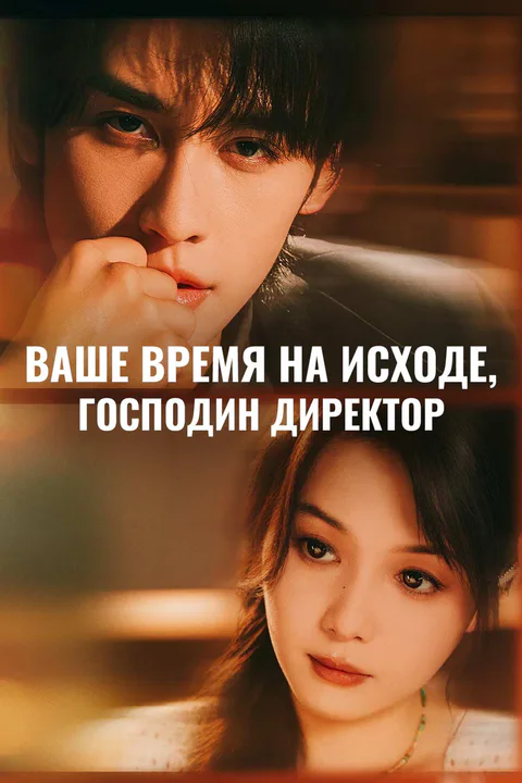 Постер «Ваше время на исходе, господин директор»