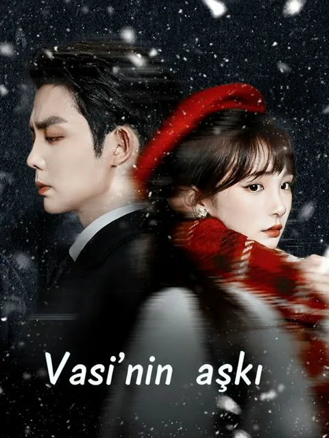 Vasi'nin aşkı afişi
