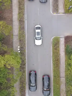 Veliahtın gizli aşkı afişi