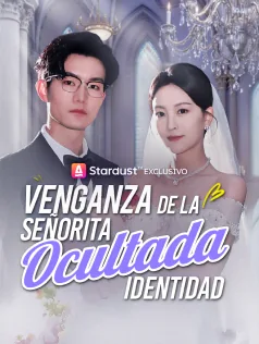 Póster de Venganza de la Señorita Ocultada Identidad