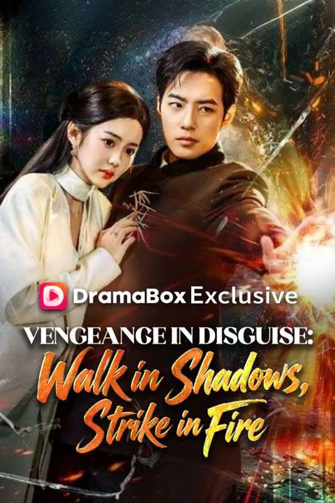 Vengeance in Disguise: Walk in Shadows, Strike in Fire poster